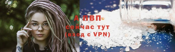 дживик Пестово