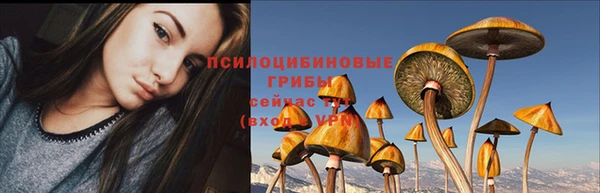 трава Переславль-Залесский