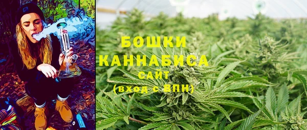 трава Переславль-Залесский