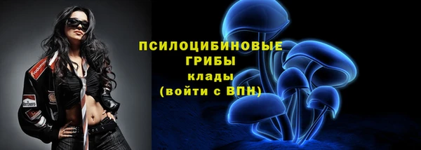 сатива Хадыженск