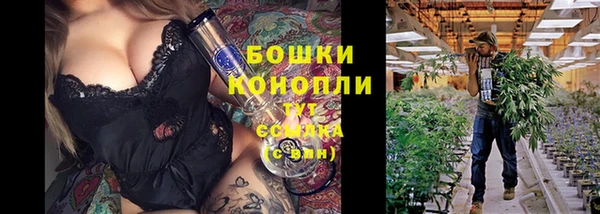 трава Переславль-Залесский