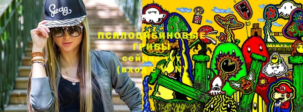 трава Переславль-Залесский