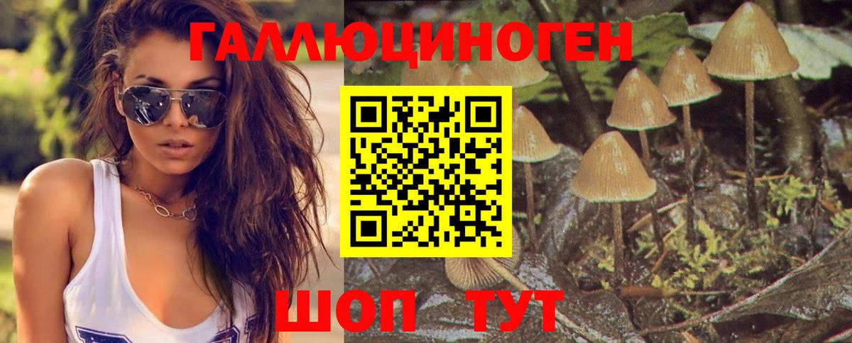 Галлюциногенные грибы Psilocybine cubensis Бирск