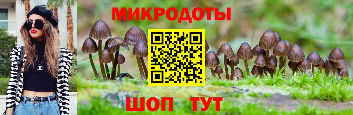 Галлюциногенные грибы GOLDEN TEACHER  Галлюциногенные грибы Psilocybine cubensis  Бирск  Вход с VPN 